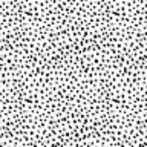 Meet your Posher, Helena